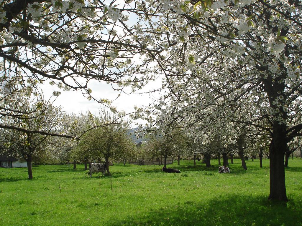 Chambres D'Hotes Au Temps Des Cerises Jumièges Exterior foto